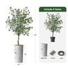 Artificial Tree in Abstract Ink Planter, Fake Eucalyptus Silk Tree for Indoor and Outdoor Home Decoration - 66" Overall Tall (Plant Pot Plus Tree) view 3