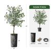 Artificial Tree in Black White Wood Tree Rings Pattern Planter, Fake Eucalyptus Silk Tree for Indoor and Outdoor Home Decoration - 66" Overall Tall (Plant Pot Plus Tree) view 3