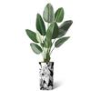 Artificial Tree in Black & White Flower Pattern Planter, Fake Bird of Paradise Silk Tree for Indoor and Outdoor Home Decoration - 67" Overall Tall (Plant Pot Plus Tree) view 2