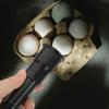 Ipetboom Egg Candling Flashlight for Dark Led Egg Hatcher Portatile Incubator Light for Farm view 2