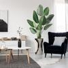 Artificial Tree in Black White Wood Tree Rings Pattern Planter, Fake Bird of Paradise Silk Tree for Indoor and Outdoor Home Decoration - 67" Overall Tall (Plant Pot Plus Tree) view 1
