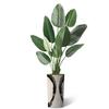 Artificial Tree in Black White Wood Tree Rings Pattern Planter, Fake Bird of Paradise Silk Tree for Indoor and Outdoor Home Decoration - 67" Overall Tall (Plant Pot Plus Tree) view 2