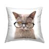 Stupell Industries Fun Cat Yellow Eyes Glasses Design by Karen Smith Throw Pillow, 18 x 18, Tan view 1