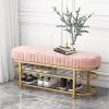 Comfortable Velvet Entrance Bench, Modern Seat Shoe Rack Bench with 2 Tier Gold Shoe Rack, Hallway Organizer,Pink,100X32X43Cm(39X13X17Inch) view 1