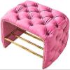 Luxury Entrance Bench, Leather Shoe Storage Padded Shoe Bench, Modern Shoe Rack Bench Furniture Decor,Pink,60X40X46Cm(24X16X18Inch) view 1