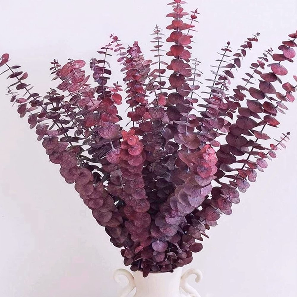 16 Pcs Dried Fall Eucalyptus Stems Red, Christmas Burgundy Dried Flowers for Vase, Home Decor, Real Eucalyptus Orange Brown, Eucalyptus Plant, 17" Fall Floral Stems Decorations Arrangement