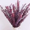 16 Pcs Dried Fall Eucalyptus Stems Red, Christmas Burgundy Dried Flowers for Vase, Home Decor, Real Eucalyptus Orange Brown, Eucalyptus Plant, 17" Fall Floral Stems Decorations Arrangement view 1