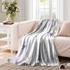 Abstract Eucalyptus Hummingbird Throw Blanket for Couch - Watercolor Purple Eucalyptus Floral Hummingbird Lightweight Soft Blankets and Throws for Sofa,50x60inch(127x152cm) view 3