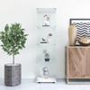 TehRecBT 4-Shelf Glass Display Cabinet, 64 inch Curio Cabinet Collection Display Case with Glass Door, Tempered Glass Floor Standing Bookshelf Storage Cabinet for Living Room, Bedroom view 3