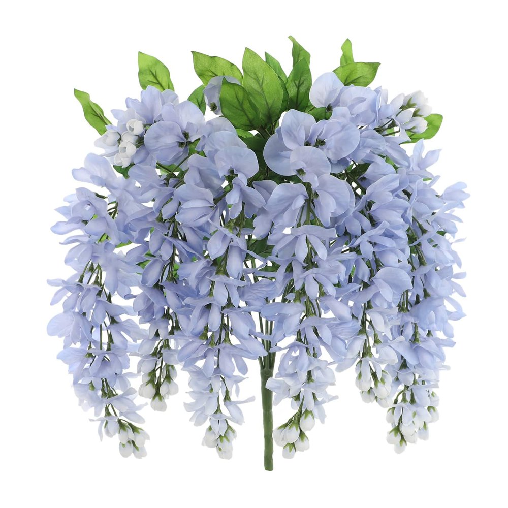 Ashland Blue Wisteria Bush