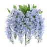 Ashland Blue Wisteria Bush view 1