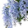 Ashland Blue Wisteria Bush view 2