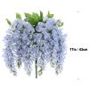 Ashland Blue Wisteria Bush view 4