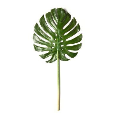 Ashland Tropical Monstera Leaf Stem