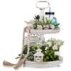 Hanobe Two Tiered Tray Stand: Boho White Farmhouse Valentine's Day 2 Tier Decorative Trays Round Coffee Table Decor Display Stands for Living Room Kitchen Centerpieces view 1