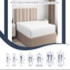 Pure Eco Zipper Fitted Sheet Olympic Queen Size 66" X 80" Inches Fit 8" Deep Pocket White, 600 TC 100% Egyptian Cotton Sateen Weave Zipper Mattress Cover Olympic Queen Size Zipper Sheets view 3