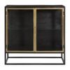 36-inch Gunmetal and Brass Finished Iron Glass 2-Door Sideboard Black Modern Contemporary Metal Painted Doors view 1