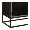 36-inch Gunmetal and Brass Finished Iron Glass 2-Door Sideboard Black Modern Contemporary Metal Painted Doors view 4