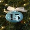 15 Mis Quince Aos Christmas Ornament, 15th Birthday Quinceaera Gift for Teen Girl, Turning Fifteen Years Old Keepsake, Sparkly Glittered Bauble with White Organza Bow (No Year) view 2