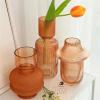 DYPASA Dry Flower Arrangement Glass Vase Flower Arrangement Hydroponics Ball Glass Flower Ware Home Living Room Decor Tabletop Vase Bottle Flower Vase (Color : 1) view 4