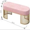 Upholstered Velvet Bench,Modern Tufted Shoe Bench,Entryway Bench with Metal Frame,Soft Shoe Storage Bench,Pink,100X45X35Cm(39X18X14Inch) view 2