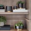 47th & Main Modern Votive Candle Holder Hand Painted Glass Candleholder, Medium, Black/Gold view 2