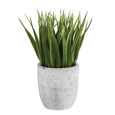 47th & Main Artificial Plant Indoor Faux Plant in Pot, 6.5-Inches High, Grass/Cement