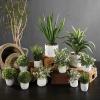 47th & Main Artificial Plant Indoor Faux Plant in Pot, 6.5-Inches High, Grass/Cement view 2