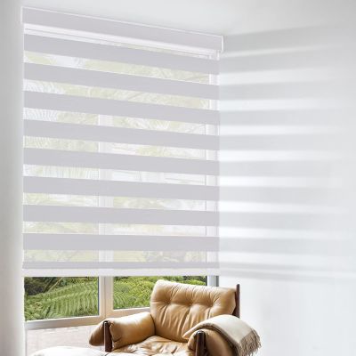 Cordless Zebra Blinds for Windows, Custom Size Zebra Roller Window Blinds, Dual Layer Blackout Zebra Roller Shades, Window Blinds for Home, Office, Kitchen, Bathroom 64 * 48in (W*H),Light Grey