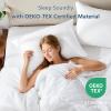 CozyLux Pillows Queen Size Set of 2, Hotel Quality Bed Pillows for Sleeping 2 Pack, Cooling Pillows for Side Back and Stomach Sleepers, Down Alternative Luxury Soft Supportive Fluffy Pillows (18x28) view 3