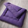 Floor Mattress Futon Mattress Sleeping Tatami Floor Mat with Washable Cover Padded Japanese Roll Up Mattress Sleeping Pad Folding Couch Bed Mattress Pad for Student,Purple,Full(120x200cm) view 1