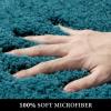 MIULEE Teal Bathroom Rugs, Soft Large Absorbent Microfiber Bath Rugs Non Slip Quick Dry Fluffy Bath Mats for Bathroom Floor Tub Showers, Machine Washable, 24x36 Inch view 2