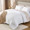 Andency White Queen Size Comforter Set, 3 Pieces Boho Solid Bedding Comforters & Sets, Modern Reversible Soft Lightweight All Season Bed Set for Men Women (90x90Inch Comforter & 2 Pillowcases) view 2