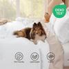 Andency White Queen Size Comforter Set, 3 Pieces Boho Solid Bedding Comforters & Sets, Modern Reversible Soft Lightweight All Season Bed Set for Men Women (90x90Inch Comforter & 2 Pillowcases) view 3