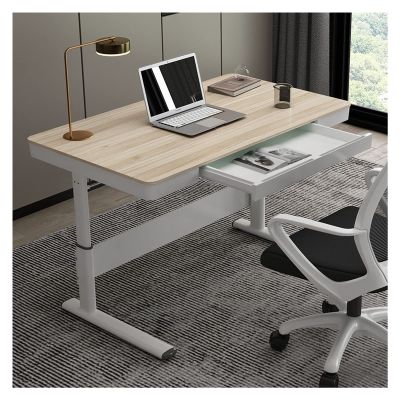 PC Desk Home Study Lifting Table Standing Office PC Desk Height-Adjustable Manual Lifting Writing Workstation Desk with Drawer Modern Minimalist Gaming Table Office Desks (Color : 1, Size : 1.2 Mete