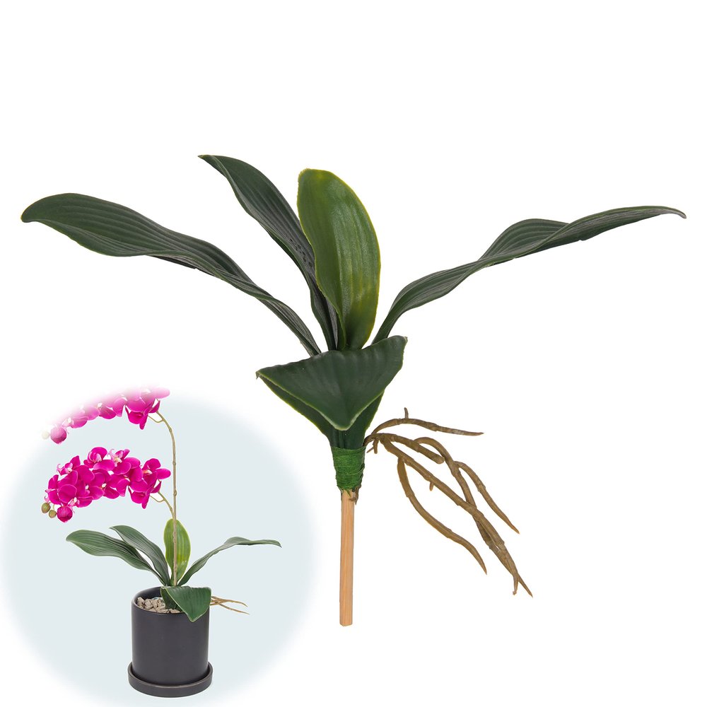 cn-Knight Artificial Leaf of Phalaenopsis Orchid,5pcs Latex Orchid Leaves on Stem with Roots,Faux Leaves for Artificial Moth Orchid for Tropical Bonsai Crafts,Green