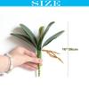 cn-Knight Artificial Leaf of Phalaenopsis Orchid,5pcs Latex Orchid Leaves on Stem with Roots,Faux Leaves for Artificial Moth Orchid for Tropical Bonsai Crafts,Green view 2