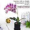 cn-Knight Artificial Leaf of Phalaenopsis Orchid,5pcs Latex Orchid Leaves on Stem with Roots,Faux Leaves for Artificial Moth Orchid for Tropical Bonsai Crafts,Green view 4