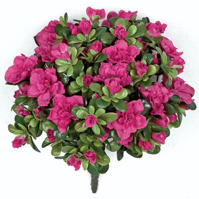 SilksAreForever 12" Artificial Azalea Flower Bush -Beauty (Pack of 6)