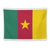 Cameroon Flag Tapestry-Wall Hanging Home Wall Art Tapestry for Living Room/Bedroom/Dormitory Background Poster 60"x80" view 1