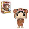 Funko Pop! The Flash - Barry Allen in Monkey Robe Vinyl DC Exclusive Figure #1345 view 4
