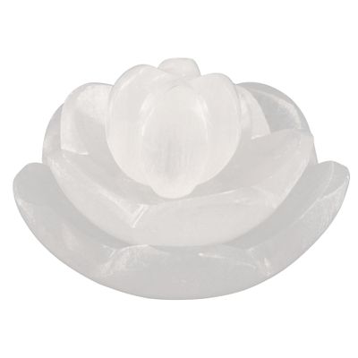 Lotus Flower Selenite Bowl for Crystals Charging  3 pc Flower Selenite Bowl for Crystals Charging  Mined & Crafted in Morocco  Ideal for Cleansing & Recharging Healing Stones, Meditation, & Decor