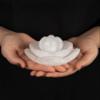 Lotus Flower Selenite Bowl for Crystals Charging  3 pc Flower Selenite Bowl for Crystals Charging  Mined & Crafted in Morocco  Ideal for Cleansing & Recharging Healing Stones, Meditation, & Decor view 2