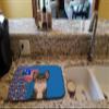 Caroline's Treasures WDK5162DDM Longhaired Black and Tan Chihuahua USA American Dish Drying Mat Absorbent Dish Drying Mat Pad for Kitchen Counter Dish Drainer Mat for Countertop, 14 x 21", Multicolor view 2