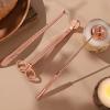 3 in 1 Candle Accessory Set, Stainless Steel Candle Wick Trimmer Cutter Candle Snuffer Extinguisher Wick Dipper, Candle Care Tools Gift for Candle Lovers (Rose Gold) view 2
