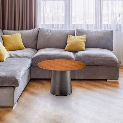 ALOADECOR W23.6 Walnut Veneer Mid Century Modern Metal Single Round Coffee Table for Living Room Bedroom