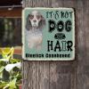 ArogGeld Tin Sign It's Not Dog Hair Bluetick Goonhound Dog Metal Wall Art Dog Mom Gift Wall Art Home Decor Dog Lover Puppy Gifts 10x10in Antique Metal Art Plaque for Home Bar Coffee Man Cave Garage view 2