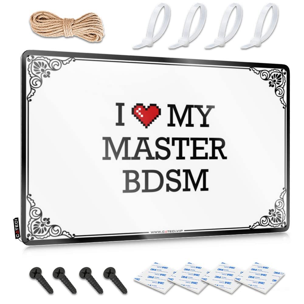 Abipuir Metal Home Bar Signs I Love My Master BDSM Tin Sign Bar Signs for Home Bar Funny Funny Metal Bar Signs (Color : Colour, Size : 20X30CM)
