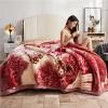 9 LB Soft Heavy Mink Blanket Queen Size 80"X90",Silky Soft Warm Winter Korean Style Mink Fleece Blanket 2 Ply Reversible Flannel Blanket for Couch Sofa Bed view 2