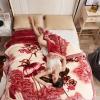 9 LB Soft Heavy Mink Blanket Queen Size 80"X90",Silky Soft Warm Winter Korean Style Mink Fleece Blanket 2 Ply Reversible Flannel Blanket for Couch Sofa Bed view 3